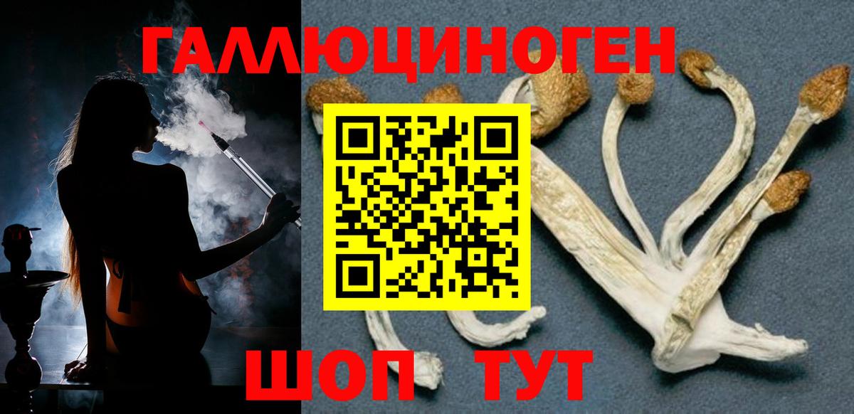 Галлюциногенные грибы GOLDEN TEACHER Малгобек