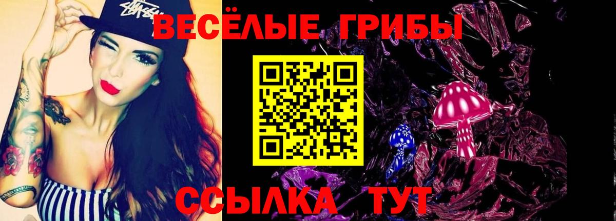 Псилоцибиновые грибы Cubensis  Вход с VPN  Малгобек  Галлюциногенные грибы прущие грибы 
