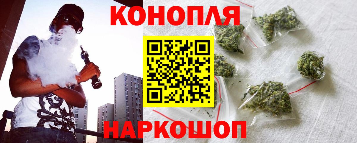 Каннабис план Малгобек